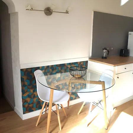 Apartment Lumineux Avec Jardin Dans Bastide *
